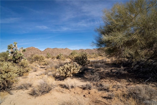 LOT16 S Hansen Rd, Yucca AZ, 86438 land for sale