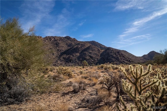 Listing photo 3 for LOT16 S Hansen Rd, Yucca AZ 86438