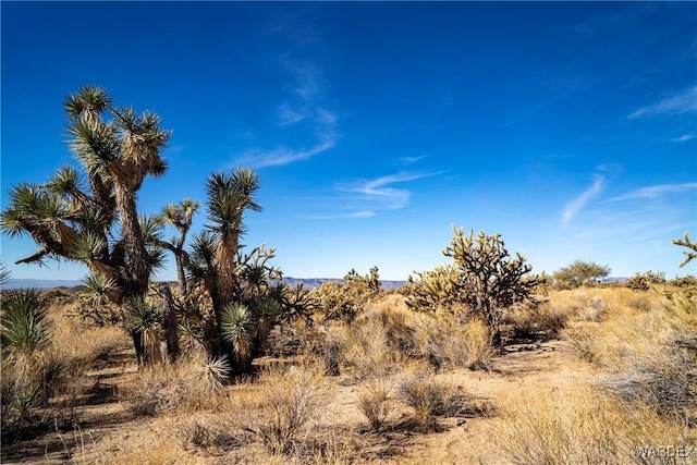 Listing photo 2 for LOT16 S Hansen Rd, Yucca AZ 86438