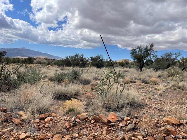 009B Cedar Ridge Way, Kingman, AZ 86401 - photo 12