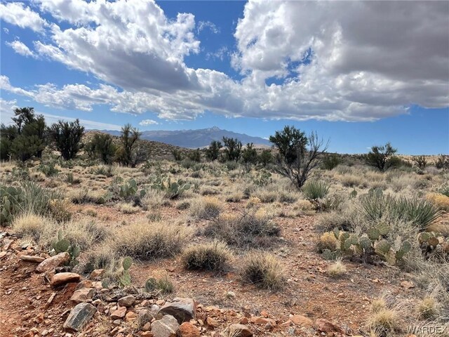 009B Cedar Ridge Way, Kingman, AZ 86401 - photo 11