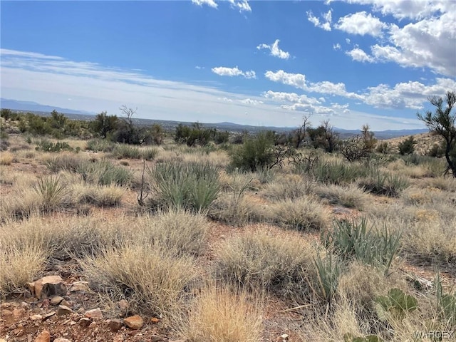 009B Cedar Ridge Way, Kingman, AZ 86401 - photo 10