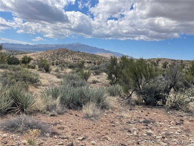 009B Cedar Ridge Way, Kingman, AZ 86401 - photo 7