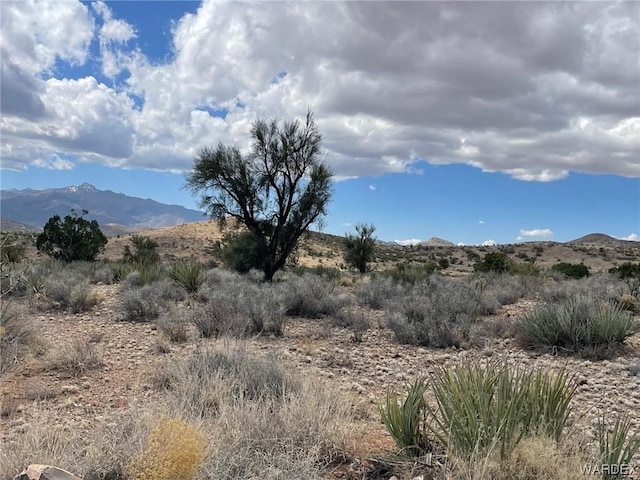 009B Cedar Ridge Way, Kingman AZ, 86401 land for sale