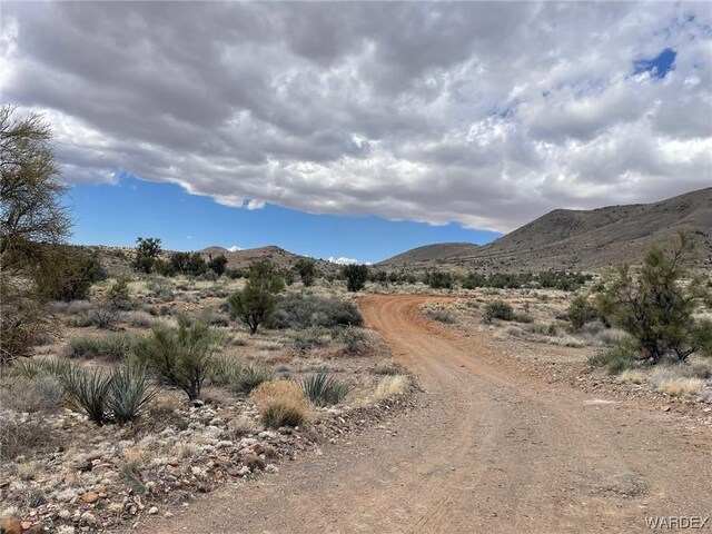 009B Cedar Ridge Way, Kingman, AZ 86401 - photo 8