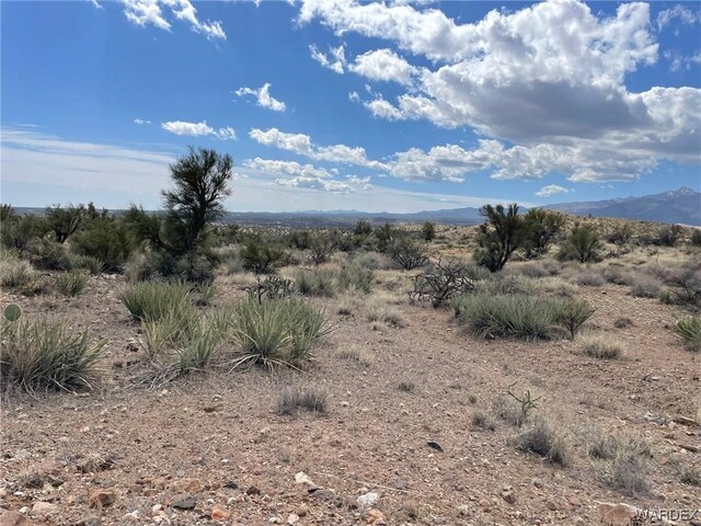 009B Cedar Ridge Way, Kingman, AZ 86401 - photo 9
