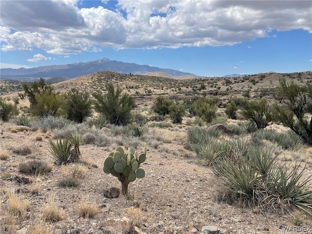 009B Cedar Ridge Way, Kingman, AZ 86401 - photo 6