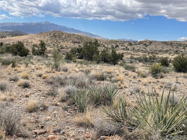 009B Cedar Ridge Way, Kingman, AZ 86401 - photo 5