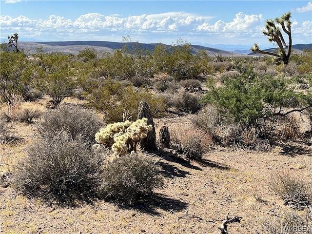 00 W Inyo Dr, White Hills, AZ 86445 - photo 3