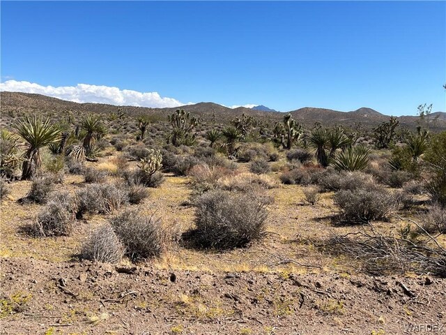 00 W Inyo Dr, White Hills, AZ 86445 - photo 11