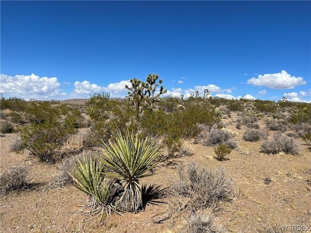 00 W Inyo Dr, White Hills, AZ 86445 - photo 2