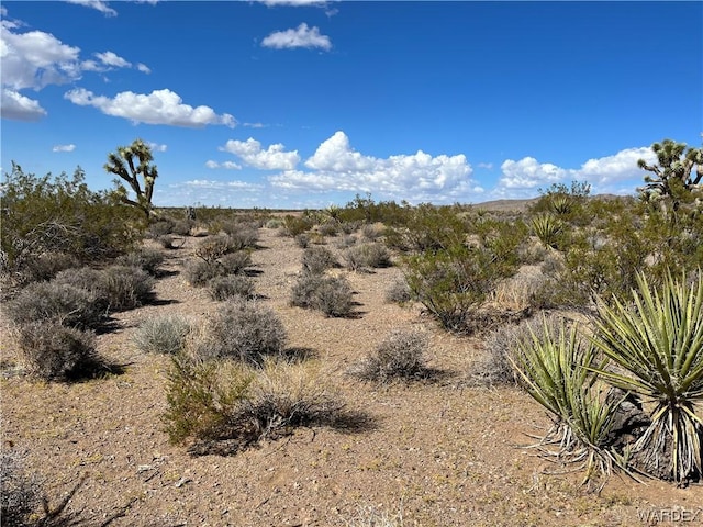 00 W Inyo Dr, White Hills, AZ 86445 - photo 4