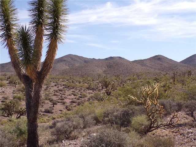 8108 W Rio Vista Dr, White Hills, AZ 86445