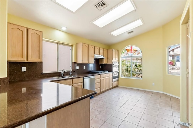 2190 Hijolly Dr, Bullhead City, AZ 86442 - kitchen featuring appliances with stainless steel finishes, light brown cabinets, under cabinet range hood, lofted ceiling, and a sink