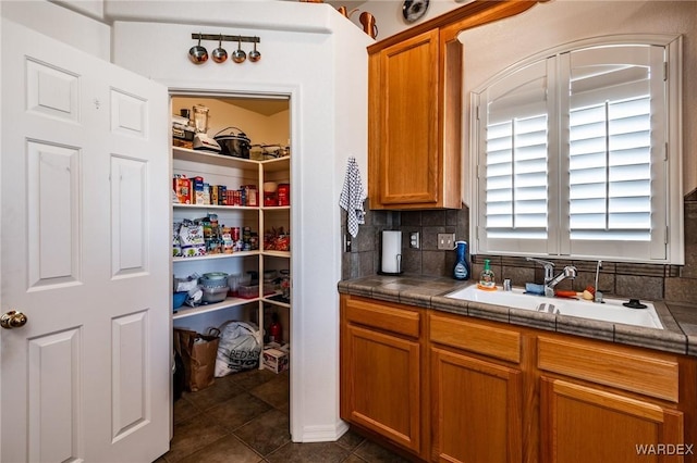 storage area featuring a sink