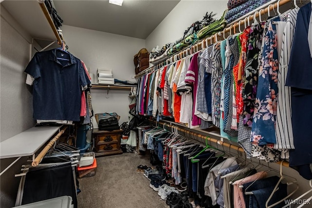 walk in closet with carpet flooring