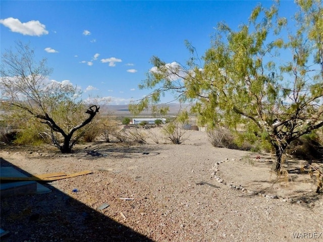 view of local wilderness