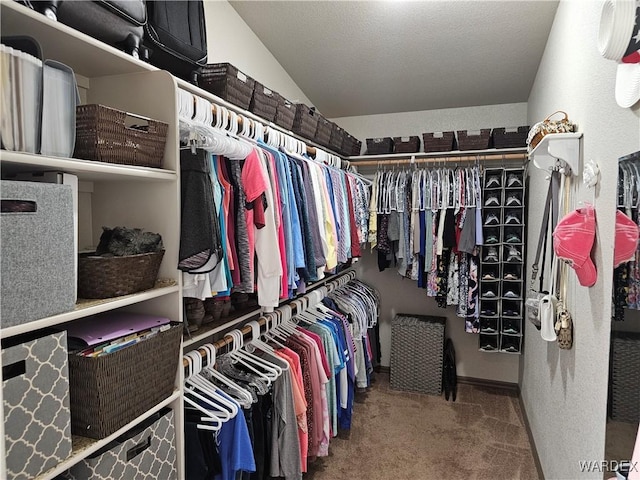 6246 S Vista Laguna Dr, Fort Mohave, AZ 86426 - walk in closet with carpet and lofted ceiling