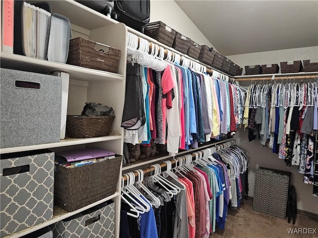 6246 S Vista Laguna Dr, Fort Mohave, AZ 86426 - walk in closet featuring vaulted ceiling and carpet floors