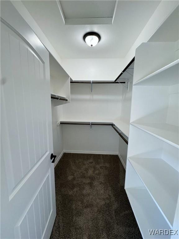 walk in closet with dark colored carpet