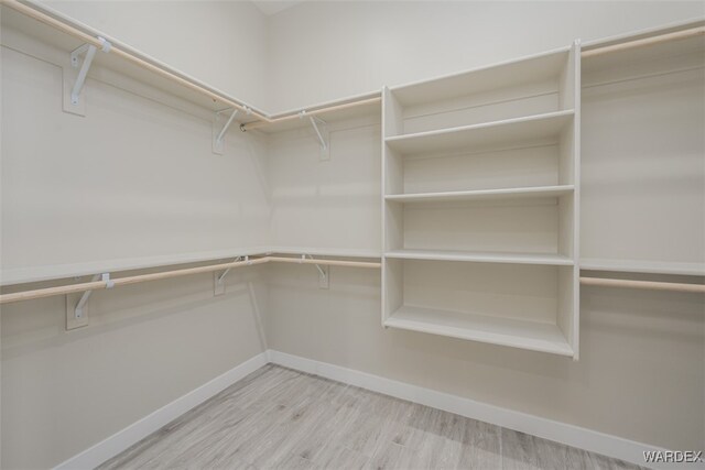 walk in closet featuring wood finished floors