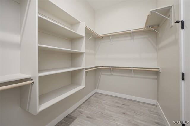 spacious closet with light wood finished floors