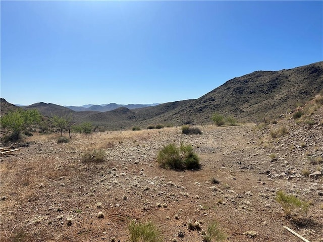 045g Calle Copala, Kingman, AZ 86409 - photo 7