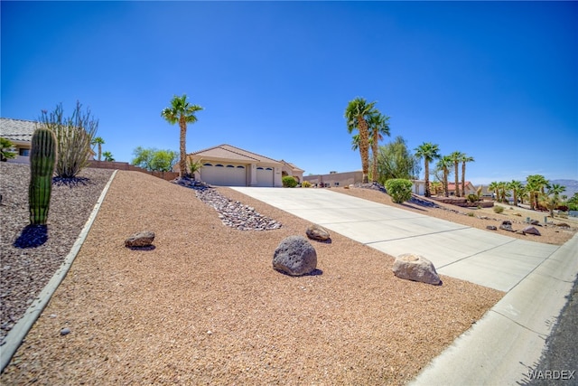ranch-style home with concrete driveway