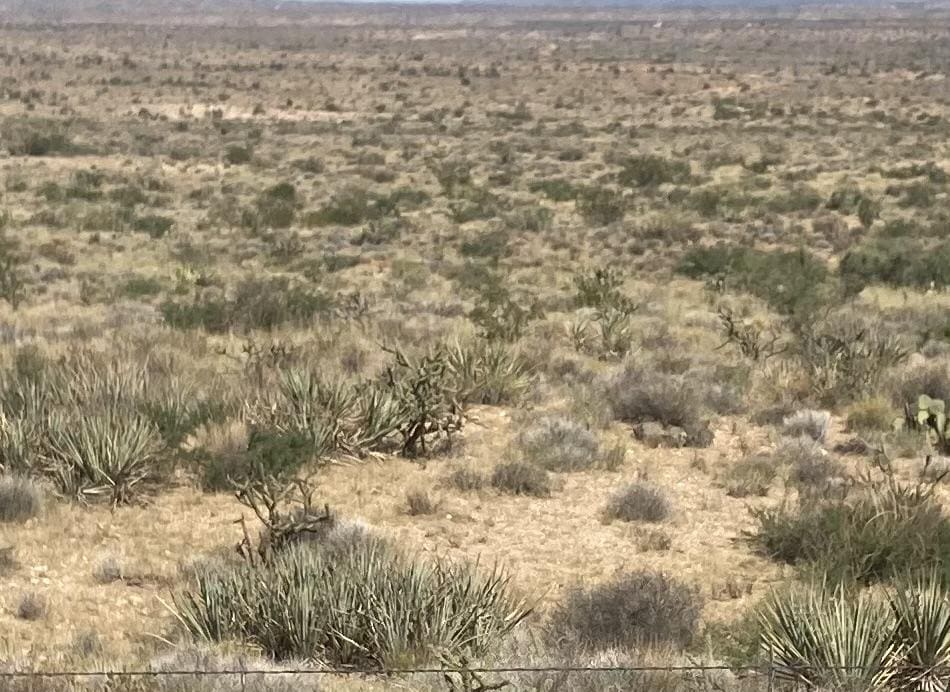 6989 N Horse Mesa Rd, Golden Valley, AZ 86413 - photo 1