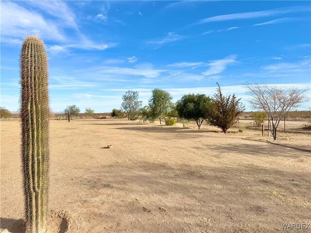 view of yard with a rural view