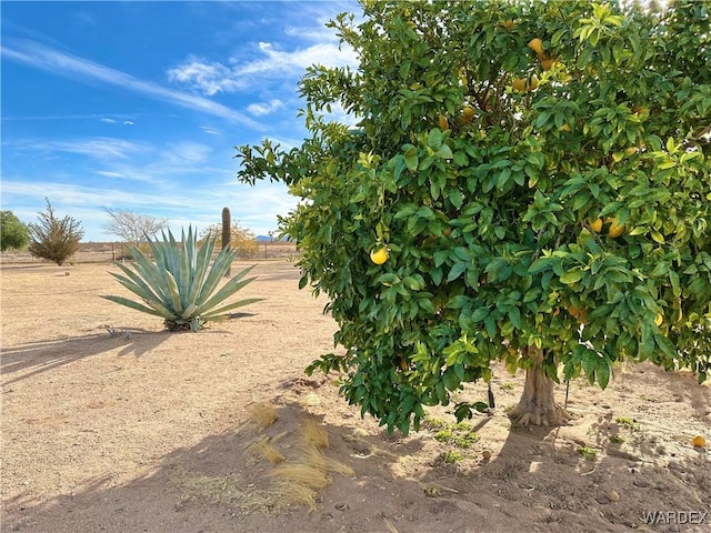 view of nature with a rural view