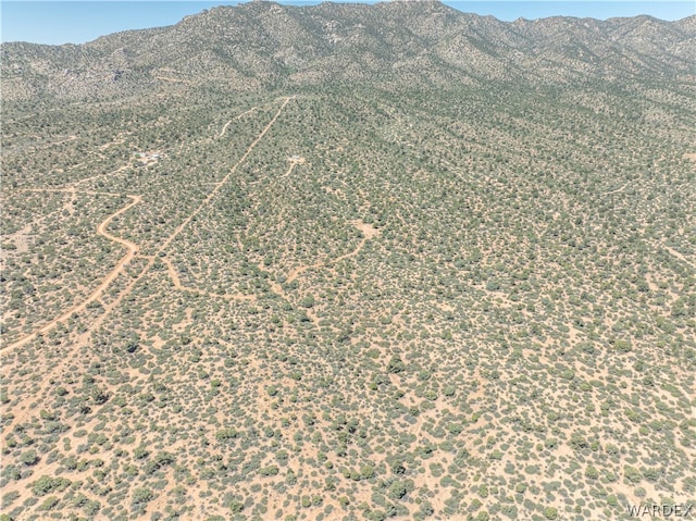 0 Green Tree, Hackberry, AZ 86411 - photo 11