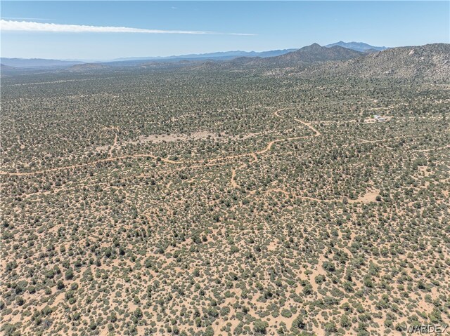 0 Green Tree, Hackberry, AZ 86411 - photo 14