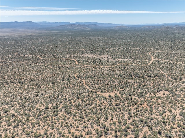 0 Green Tree, Hackberry, AZ 86411 - photo 16