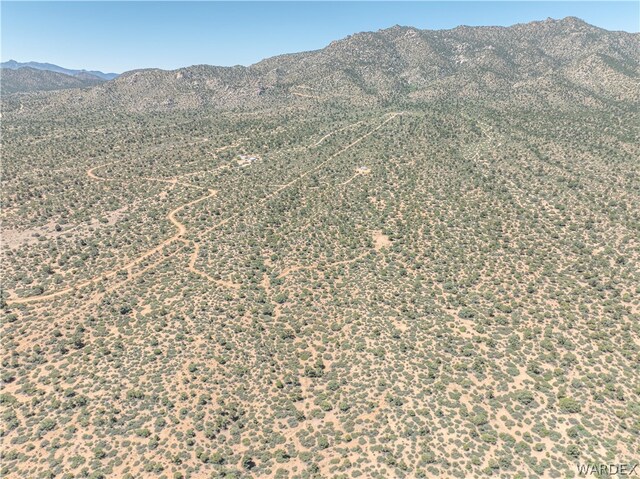 0 Green Tree, Hackberry, AZ 86411 - photo 12