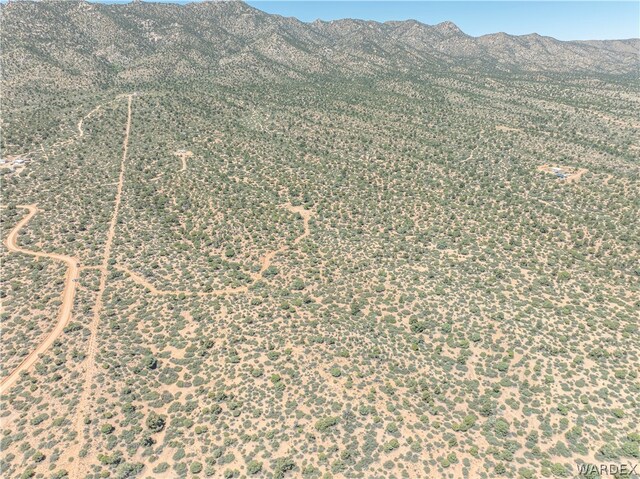 0 Green Tree, Hackberry, AZ 86411 - photo 9