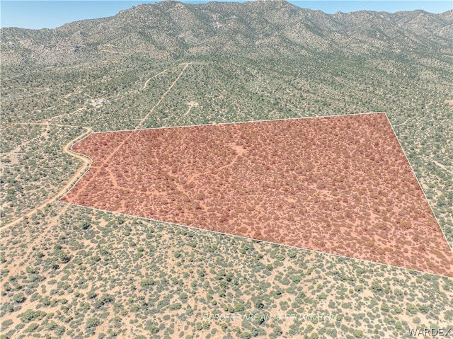 0 Green Tree, Hackberry, AZ 86411 - photo 19