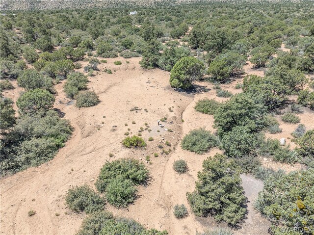 0 Green Tree, Hackberry, AZ 86411 - photo 5
