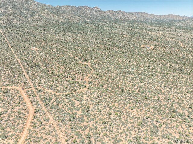 0 Green Tree, Hackberry, AZ 86411 - photo 8
