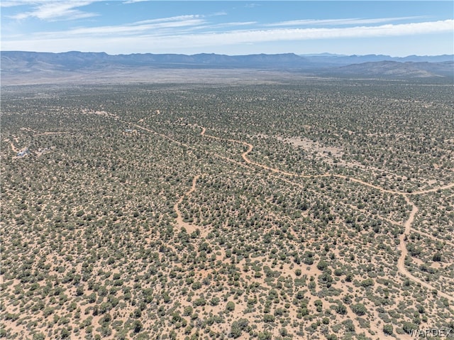 0 Green Tree, Hackberry AZ, 86411 land for sale