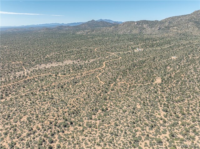 0 Green Tree, Hackberry, AZ 86411 - photo 13