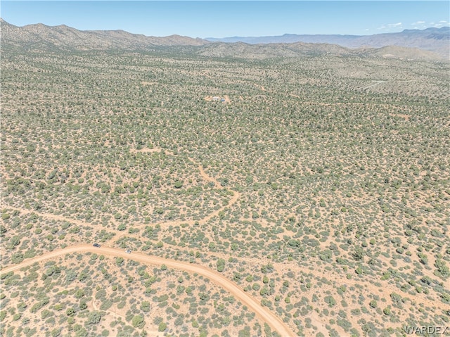 0 Green Tree, Hackberry, AZ 86411 - photo 21