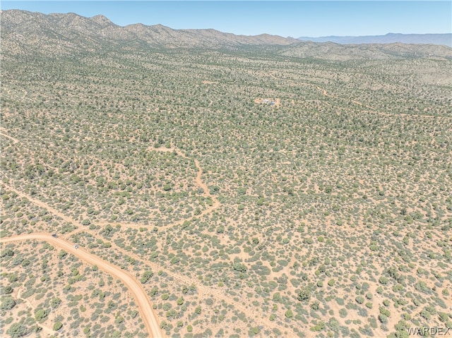 0 Green Tree, Hackberry, AZ 86411 - photo 7