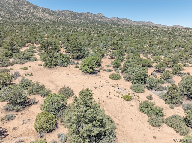 0 Green Tree, Hackberry, AZ 86411 - photo 6