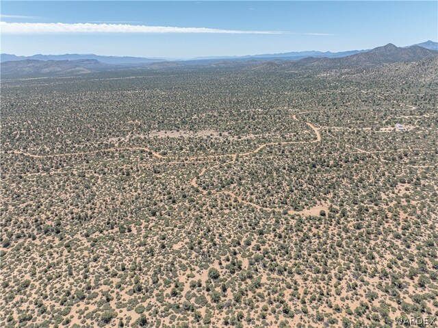 0 Green Tree, Hackberry, AZ 86411 - photo 15