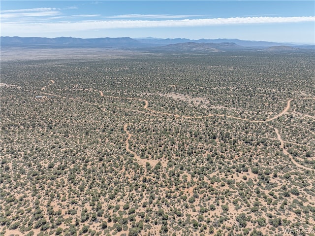 0 Green Tree, Hackberry, AZ 86411 - photo 17