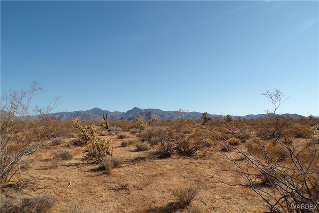 000 S Dead Eye Rd, Yucca, AZ 86438 - photo 1