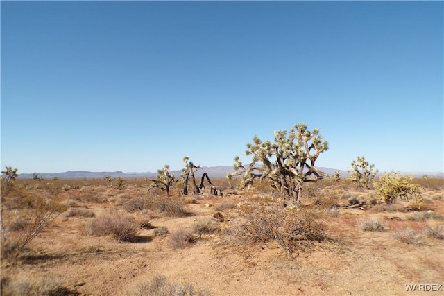 000 S Dead Eye Rd, Yucca, AZ 86438 - photo 3