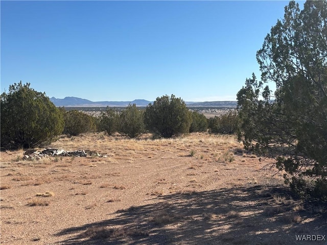 53302 Shadow Mtn, Seligman AZ, 86337 land for sale