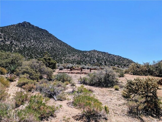 0000 N Shore Ave, Meadview, AZ 86444